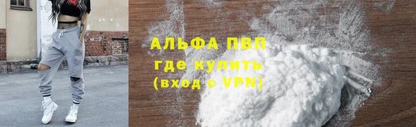 стафф Вязьма