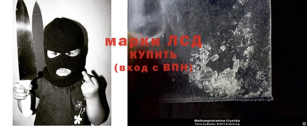 стафф Вязьма