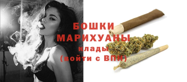стафф Вязьма