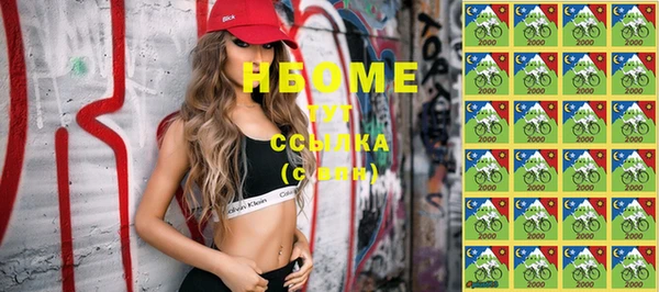 стафф Вязьма