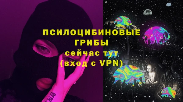 стафф Вязьма