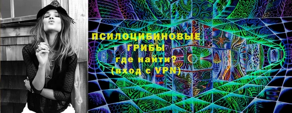 стафф Вязьма