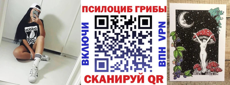 купить наркотики сайты  Балашиха  Псилоцибиновые грибы Magic Shrooms 